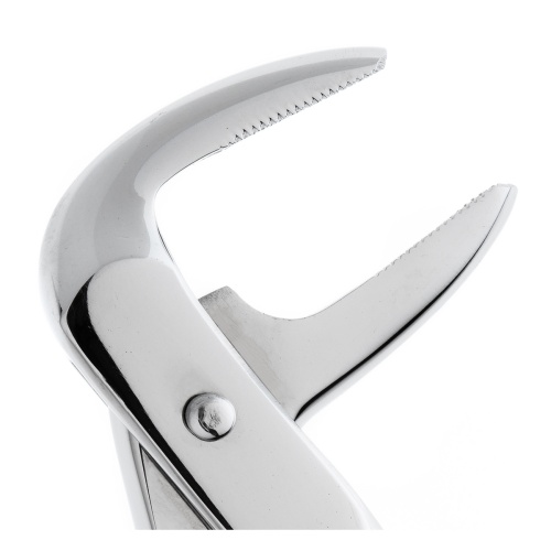 11-75* Щипцы №75 для удаления зубов нижние, премоляры HLW Dentalinstruments GmbH (Германия) фото 5