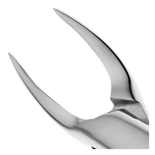 11-501* Щипцы №501 для удаления зубов верхние корневые HLW Dentalinstruments GmbH (Германия) фото 5
