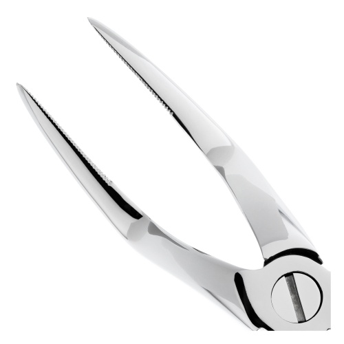 11-51M* Щипцы №51M для удаления зубов верхние, корневые HLW Dentalinstruments GmbH (Германия) фото 5