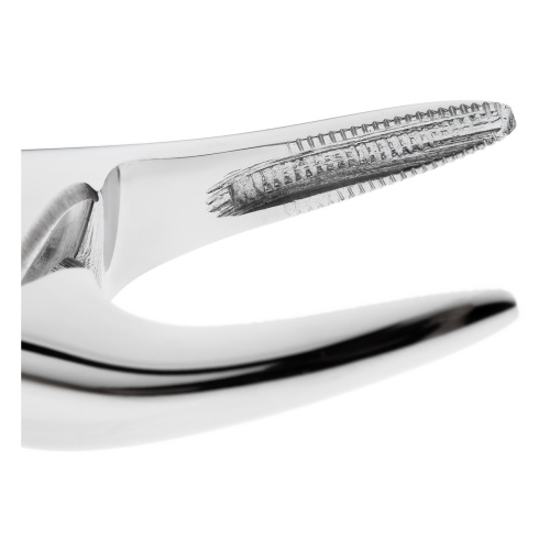11-76S* Щипцы №76S для удаления зубов детские верхние корневые HLW Dentalinstruments GmbH (Германия) фото 3