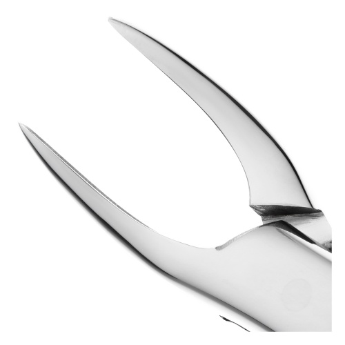 11-69* Щипцы №69 для удаления верхнего и нижнего корневого фрагмента HLW Dentalinstruments GmbH (Германия) фото 5