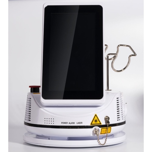 CHEESE II - диодный стоматологический лазер GIGAA LASER (Китай) фото 2