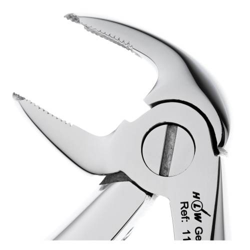 11-6B* Щипцы №6B для удаления зубов детские нижние моляры HLW Dentalinstruments GmbH (Германия) фото 5