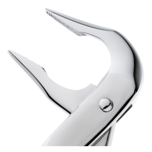 11-36N* Щипцы №36N для удаления зубов, нижние премоляры HLW Dentalinstruments GmbH (Германия) фото 5