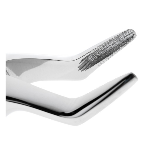 11-51SB* Щипцы №51SB для удаления зубов детские верхние корневые HLW Dentalinstruments GmbH (Германия) фото 3