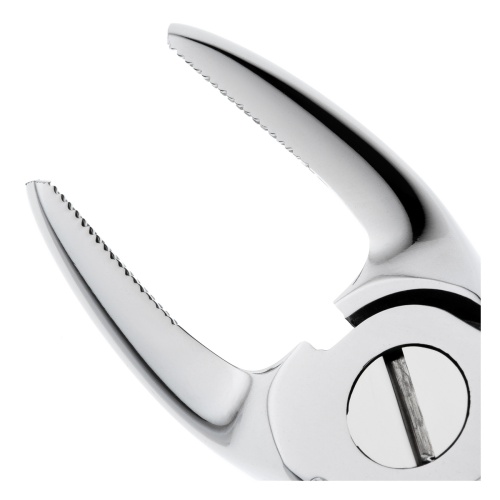 11-39* Щипцы №39 для удаления зубов детские верхние, моляры HLW Dentalinstruments GmbH (Германия) фото 5