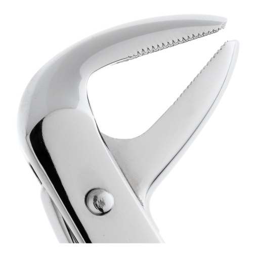 11-75* Щипцы №75 для удаления зубов нижние, премоляры HLW Dentalinstruments GmbH (Германия) фото 4