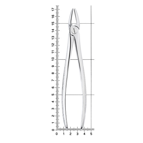 11-2* Щипцы №2 для удаления зубов верхние, резцы/клыки HLW Dentalinstruments GmbH (Германия) фото 8