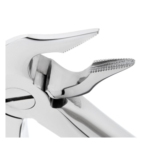 11-136* Щипцы №136 для удаления зубов нижние, корневые HLW Dentalinstruments GmbH (Германия) фото 3