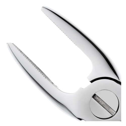 11-2* Щипцы №2 для удаления зубов верхние, резцы/клыки HLW Dentalinstruments GmbH (Германия) фото 5