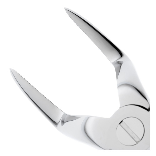 11-51* Щипцы №51 для удаления зубов верхние корневые HLW Dentalinstruments GmbH (Германия) фото 4