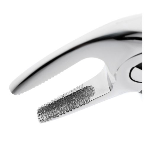 11-5B* Щипцы №5B для удаления зубов детские нижние резцы HLW Dentalinstruments GmbH (Германия) фото 3