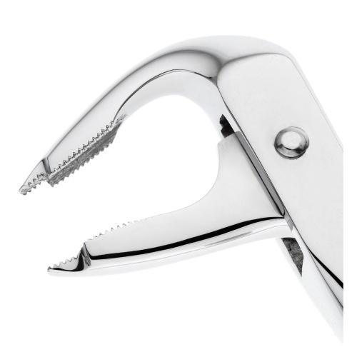 11-336* Щипцы №336 для удаления зубов нижние премоляры HLW Dentalinstruments GmbH (Германия) фото 5