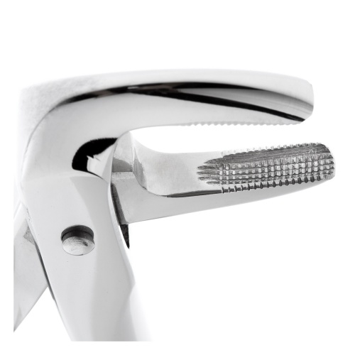 11-75* Щипцы №75 для удаления зубов нижние, премоляры HLW Dentalinstruments GmbH (Германия) фото 3